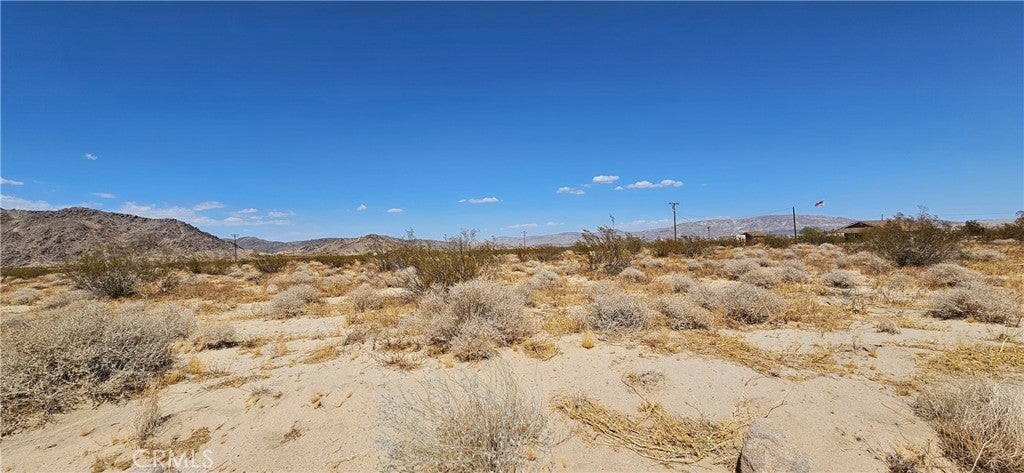 Photo of Listing #HD25045470