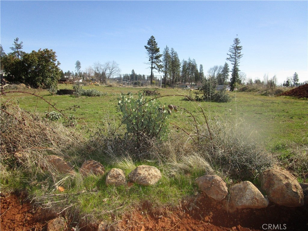 Photo of Listing #PA25045772