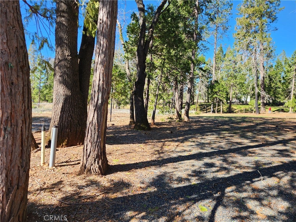 Photo of Listing #SN25046299