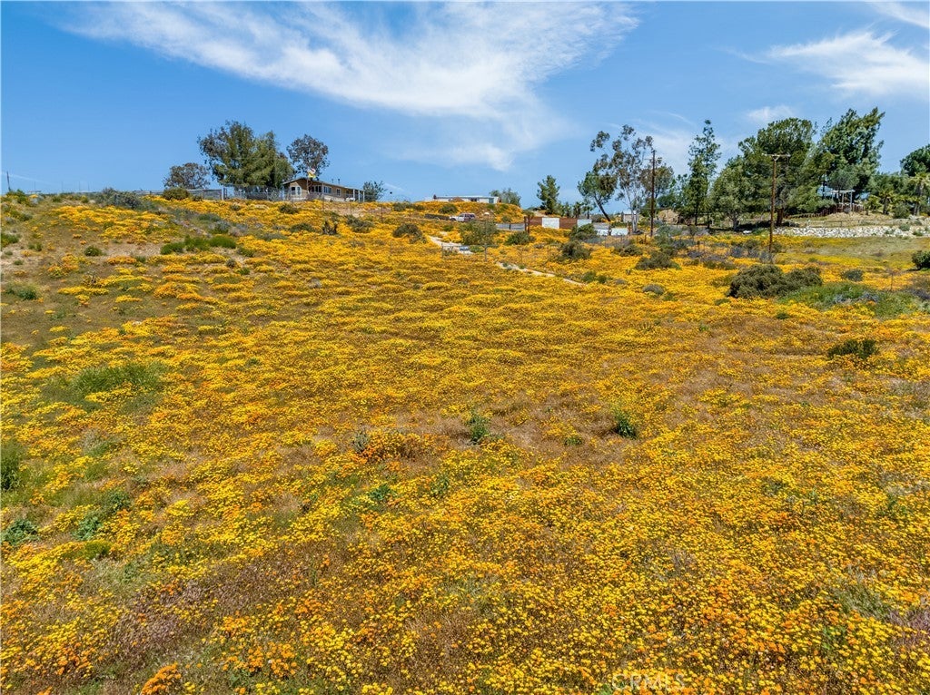 Photo of Listing #SW25047639