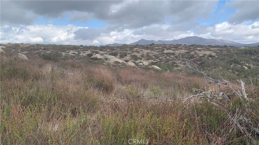 Photo of Listing #SW25048438