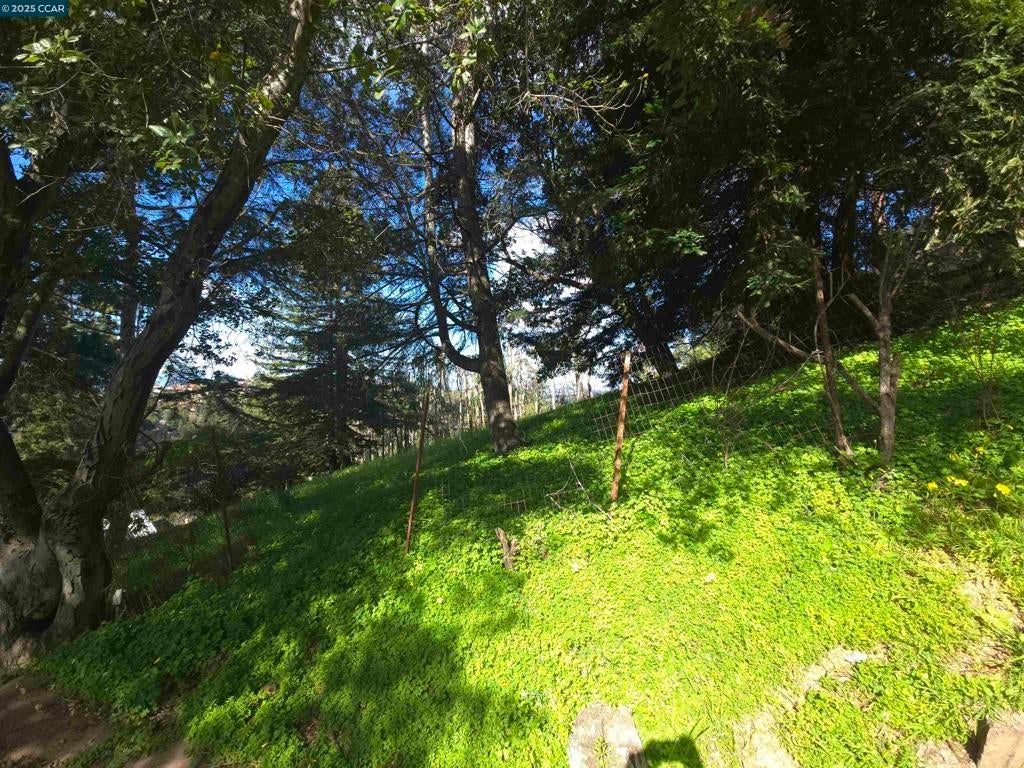 Photo of Listing #41088255