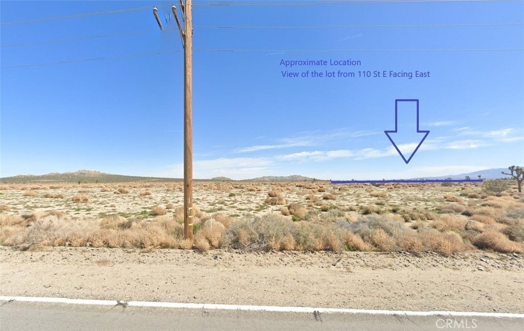 Photo of Listing #HD25050402