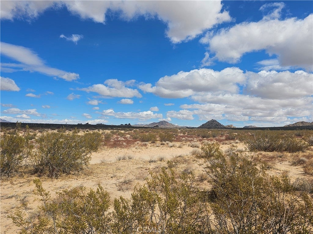 Photo of Listing #HD25049967