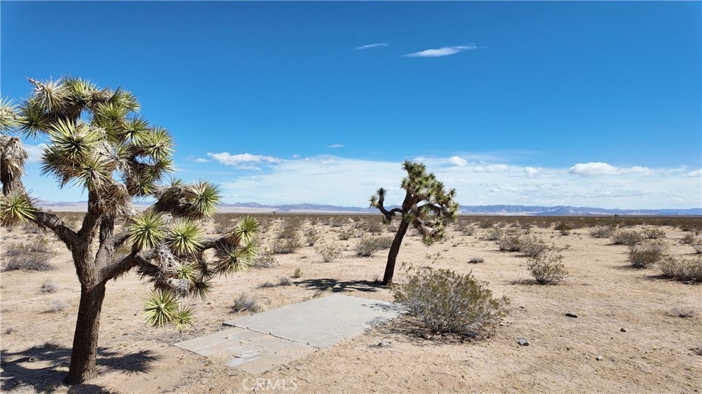 Photo of Listing #JT25051155