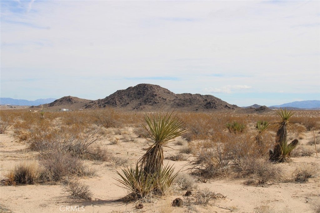 Photo of Listing #CV25053022