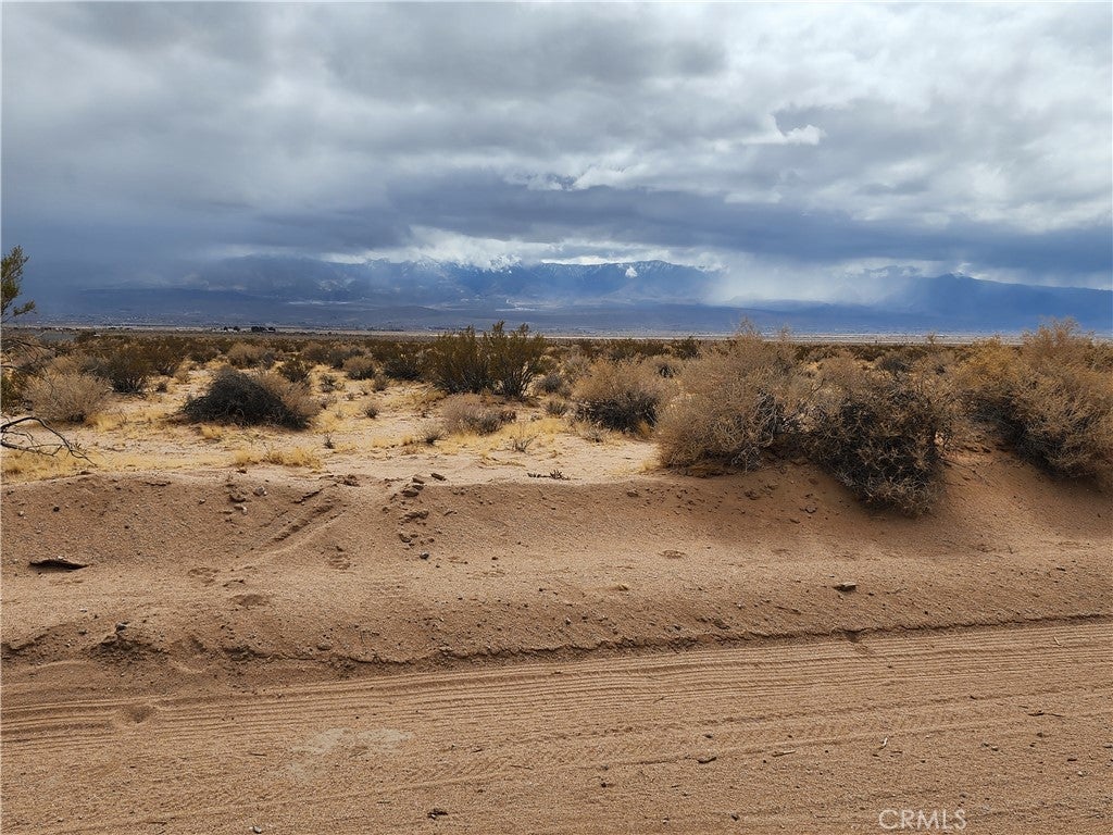 Photo of Listing #HD25054818