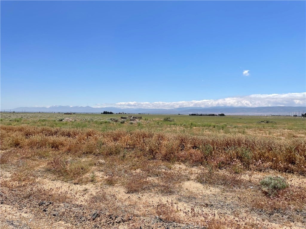 Photo of Listing #WS25055464