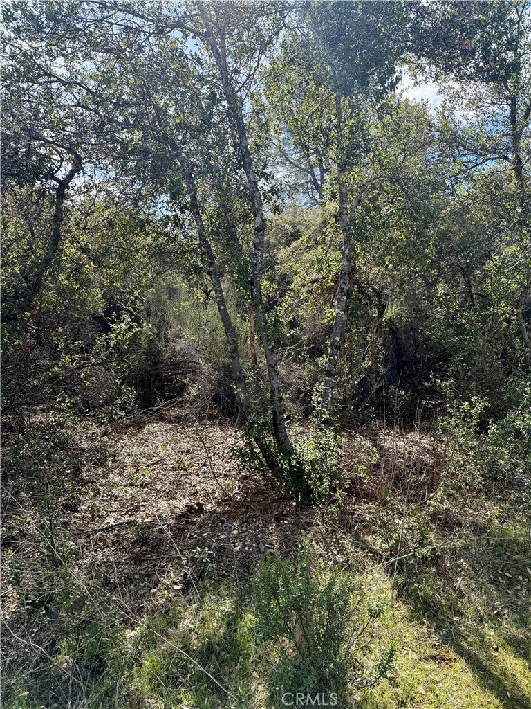 Photo of Listing #ND25055654