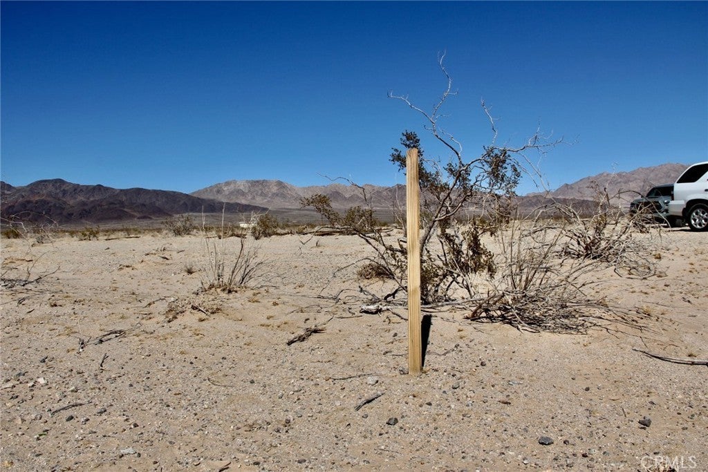 Photo of Listing #SR25055965