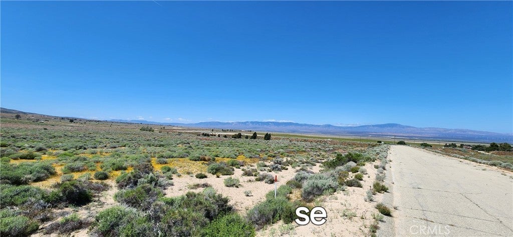 Photo of Listing #DW25056790