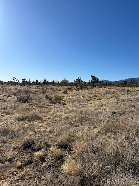 Photo of Listing #HD25051077