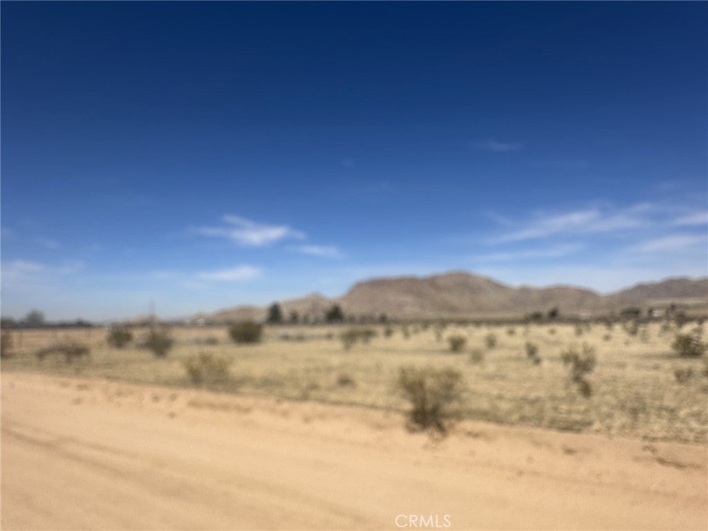 Photo of Listing #HD25062668