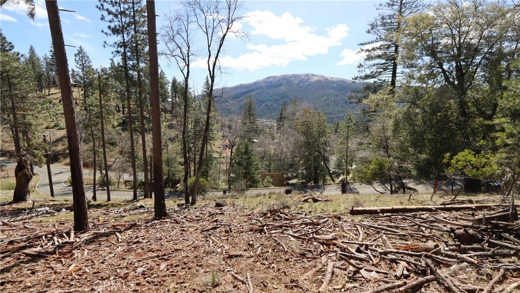 Photo of Listing #LC25062772