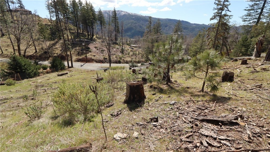 Photo of Listing #LC25062787