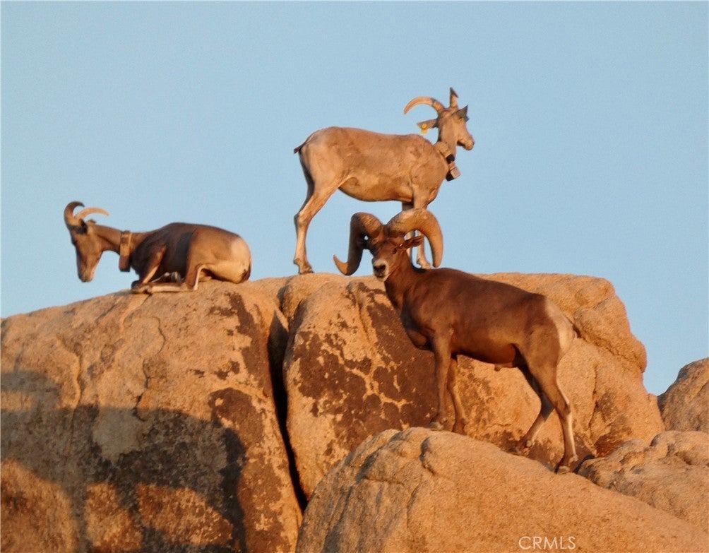 Photo of Listing #JT25063351