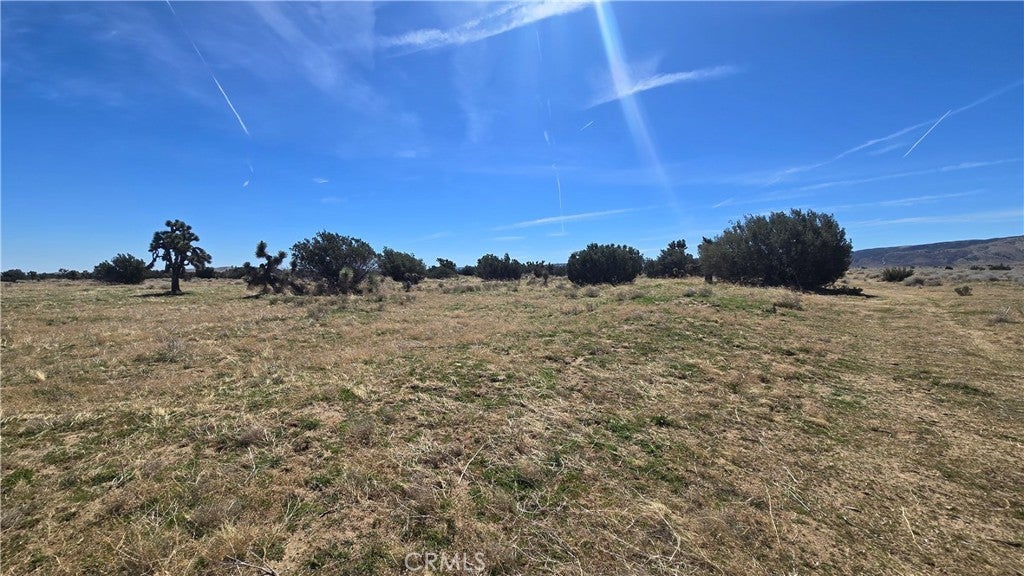 Photo of Listing #SR25066207