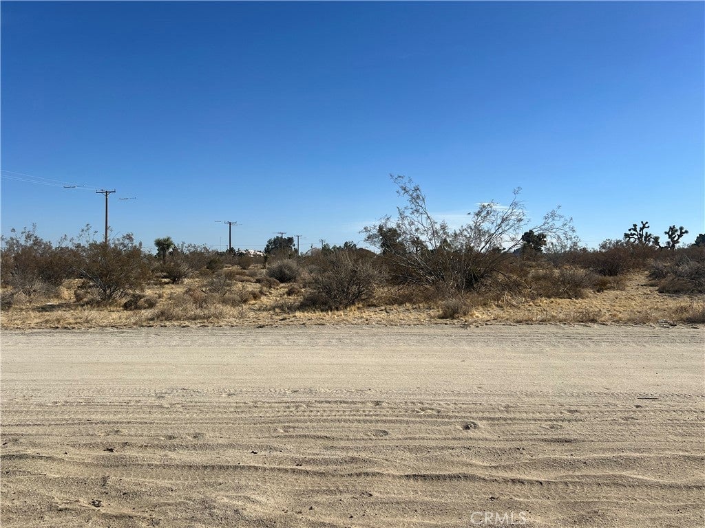 Photo of Listing #HD25067228