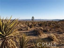 Photo of Listing #SR25067525