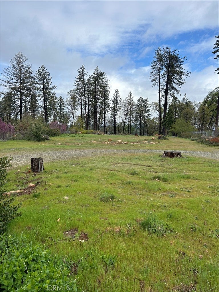 Photo of Listing #PA25069409