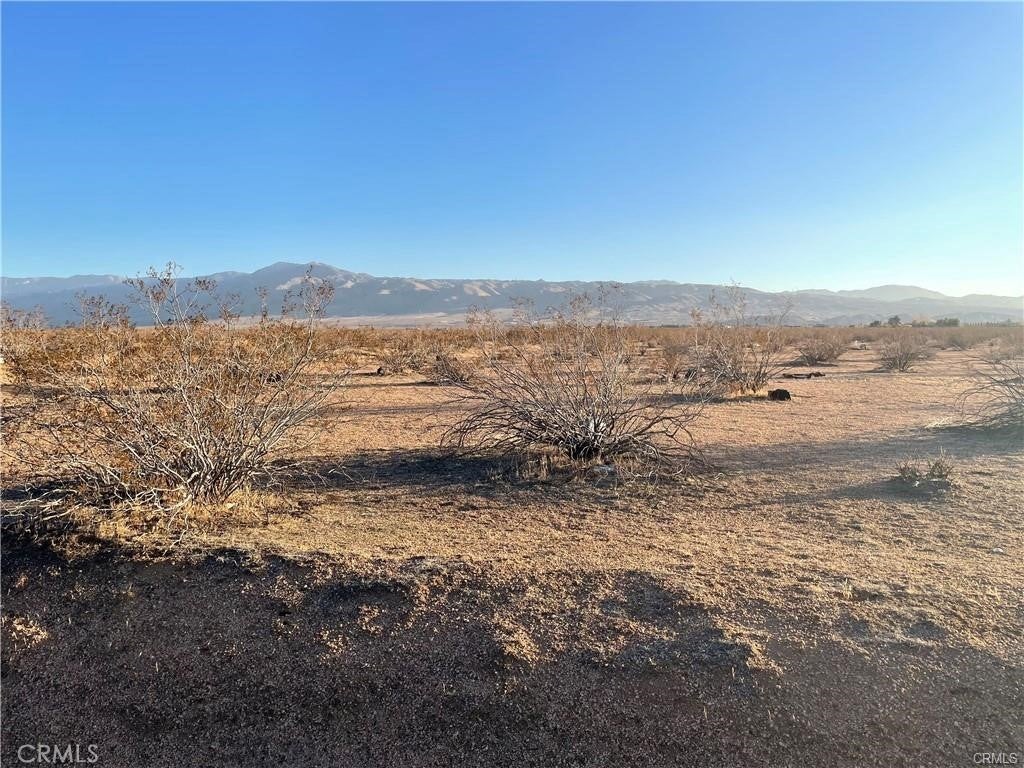 Photo of Listing #IV25065437