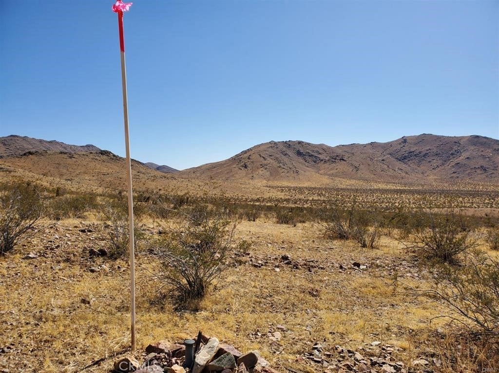 Photo of Listing #HD25070055