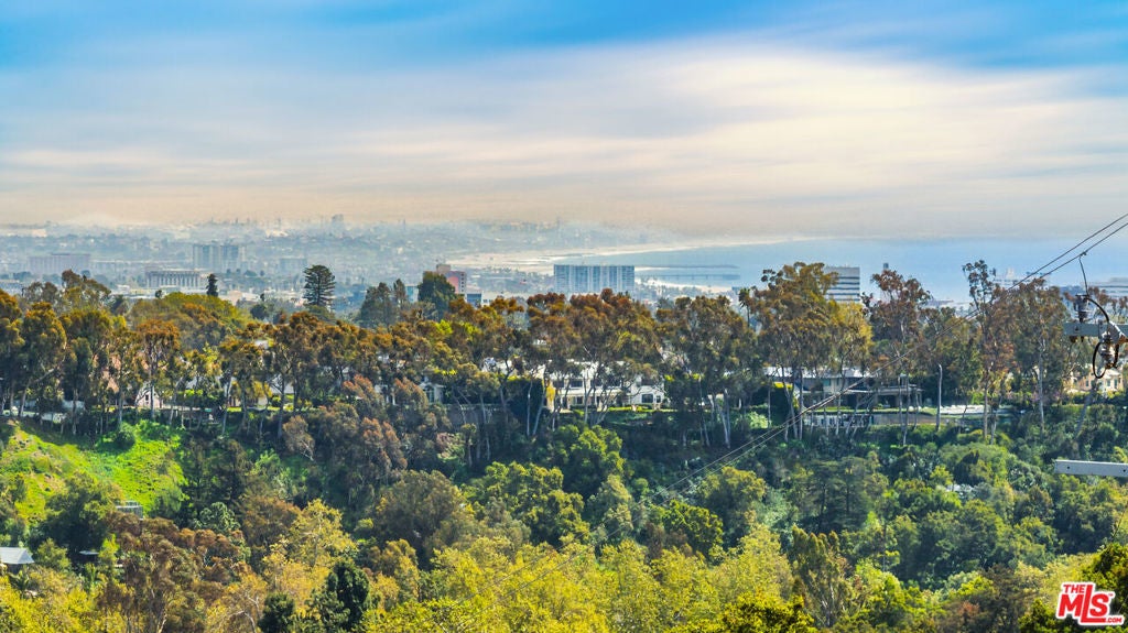 Photo of Listing #25516563