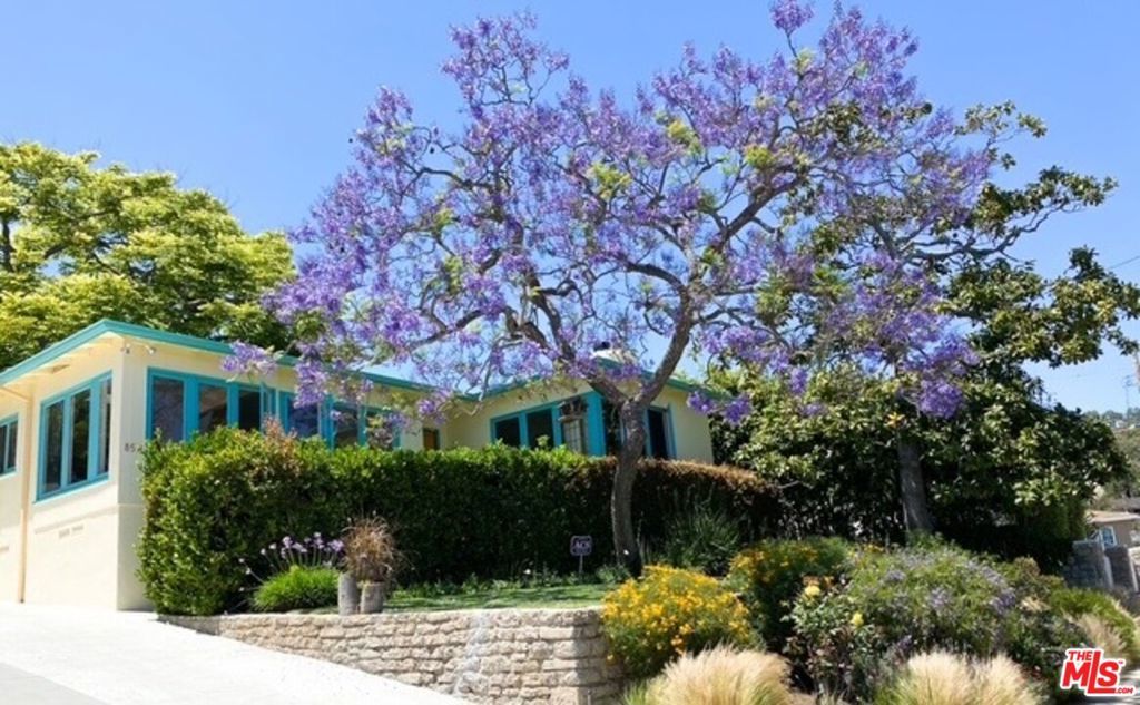 Photo of Listing #25519141