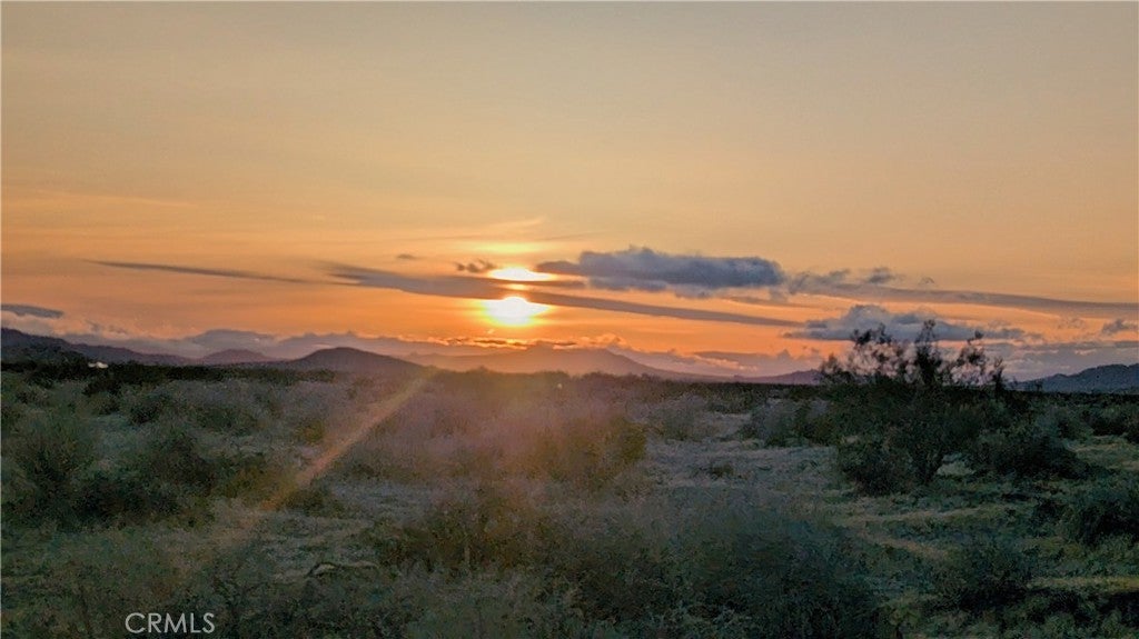 Photo of Listing #SR25070928