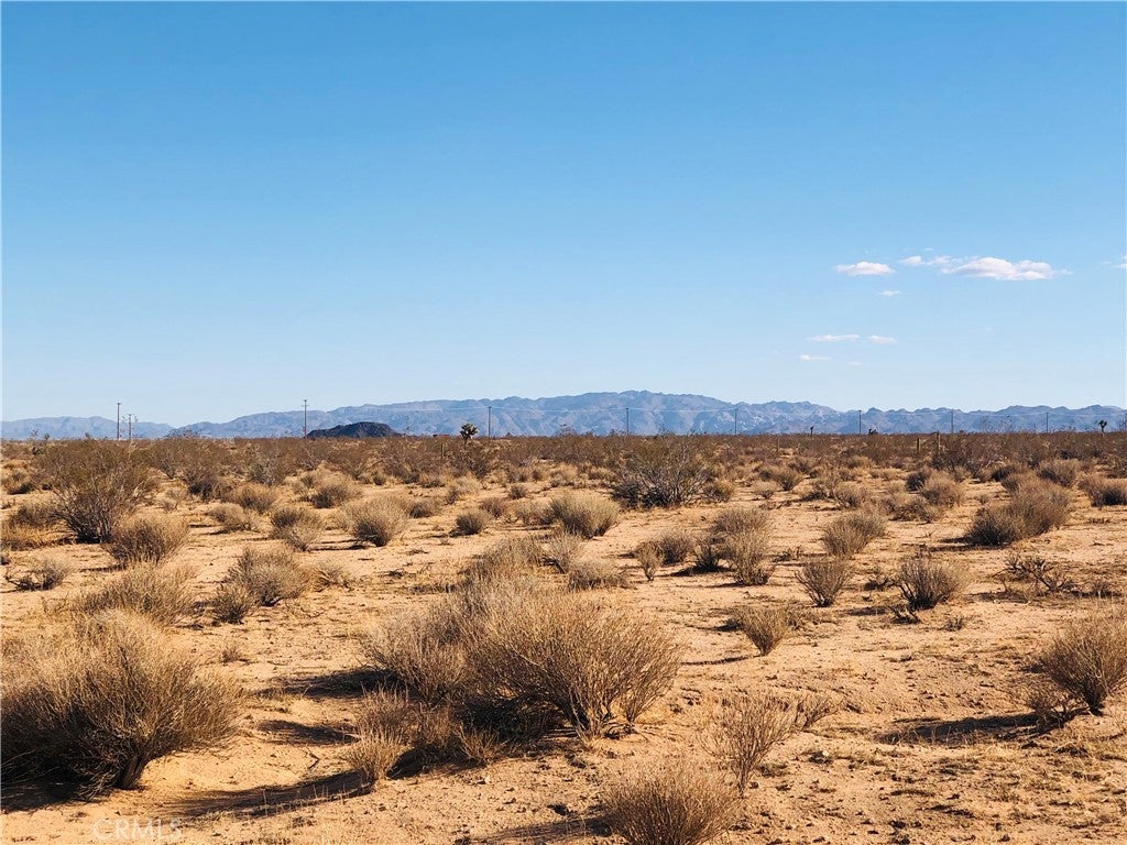 Photo of Listing #JT25073645