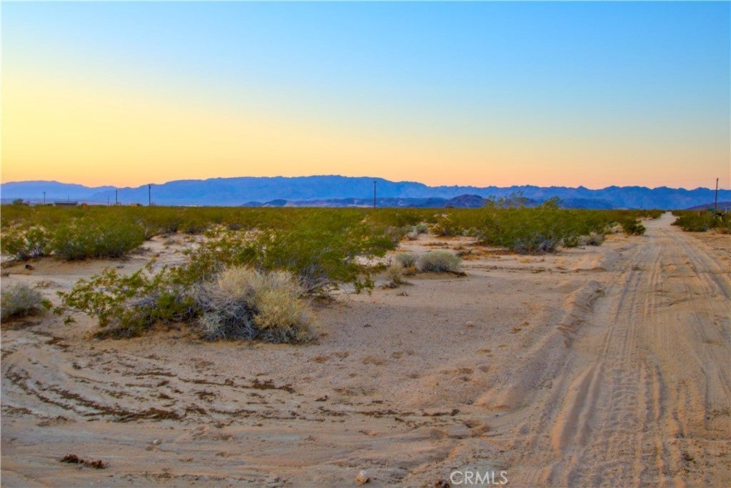 Photo of Listing #JT25071653