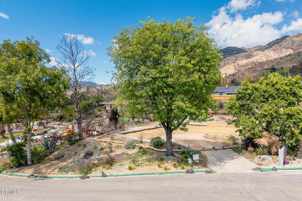 Photo of Listing #P1-21678