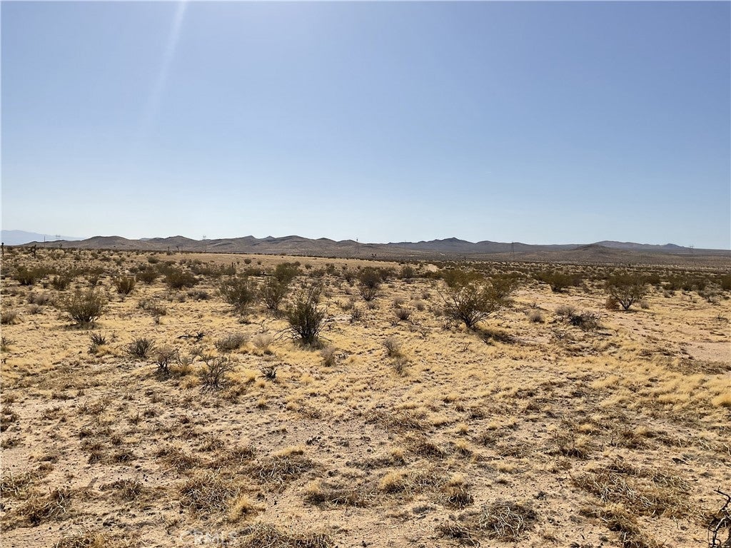 Photo of Listing #CV25079807