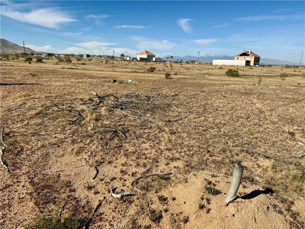 Photo of Listing #HD25080278