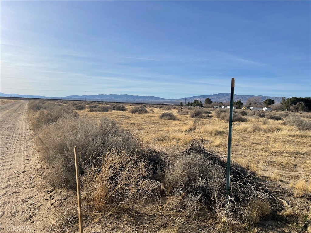 Photo of Listing #SR25077491