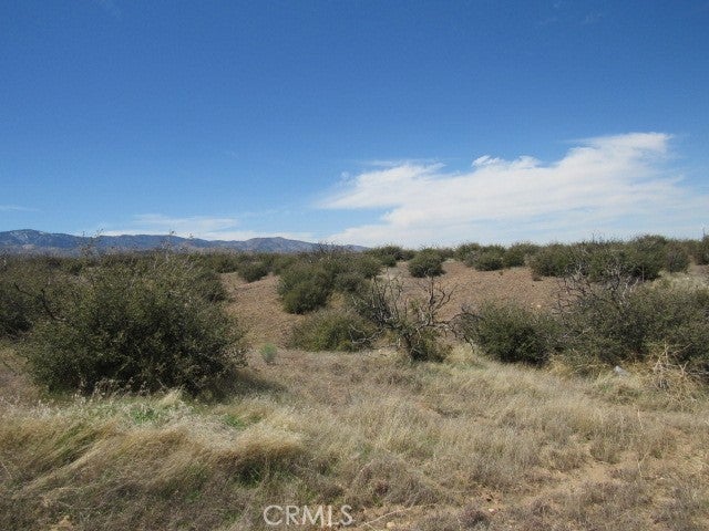 Photo of Listing #HD25078436