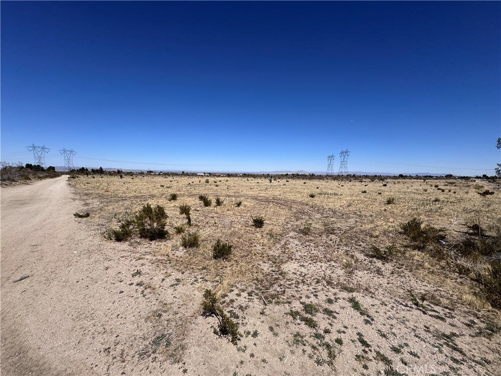 Photo of Listing #HD25081968