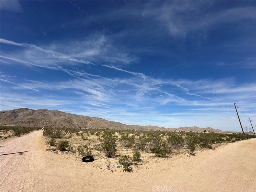 Photo of Listing #HD25073493