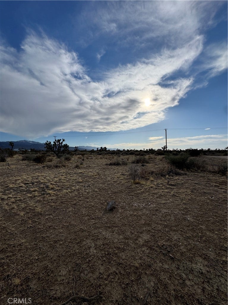 Photo of Listing #IV25085705