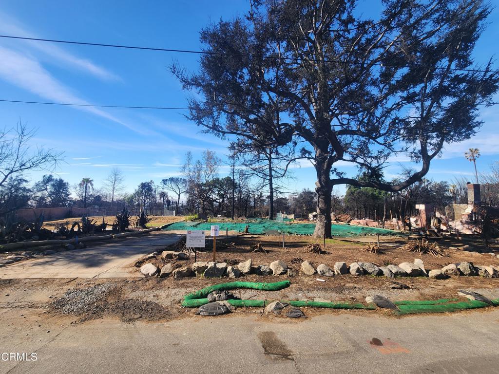 Photo of Listing #P1-21816