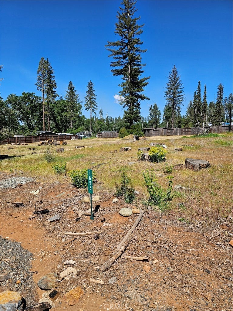 Photo of Listing #PA25090095