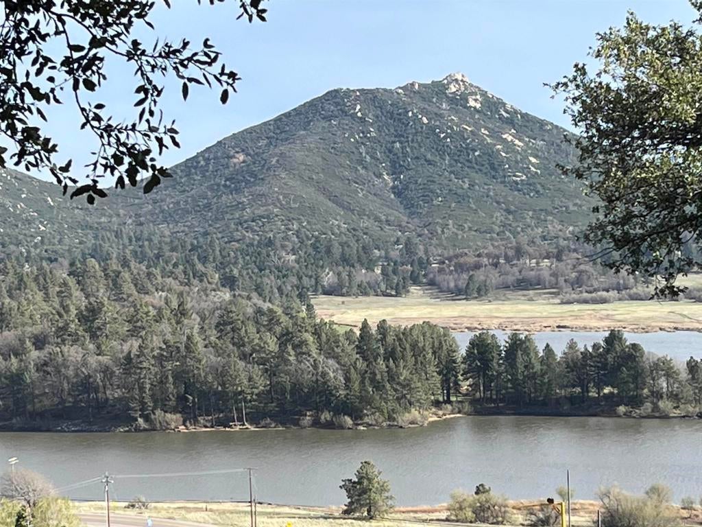 Photo of Listing #250025419SD