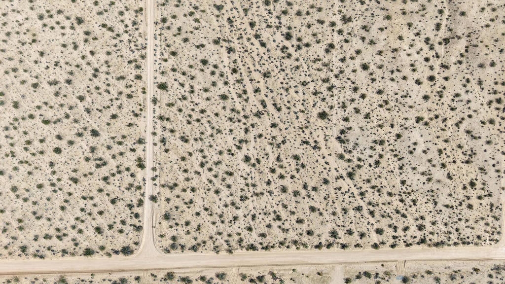 Photo of Listing #219129051DA