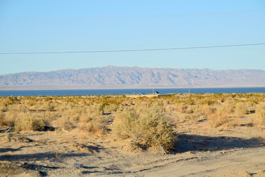 Photo of Listing #219129075DA