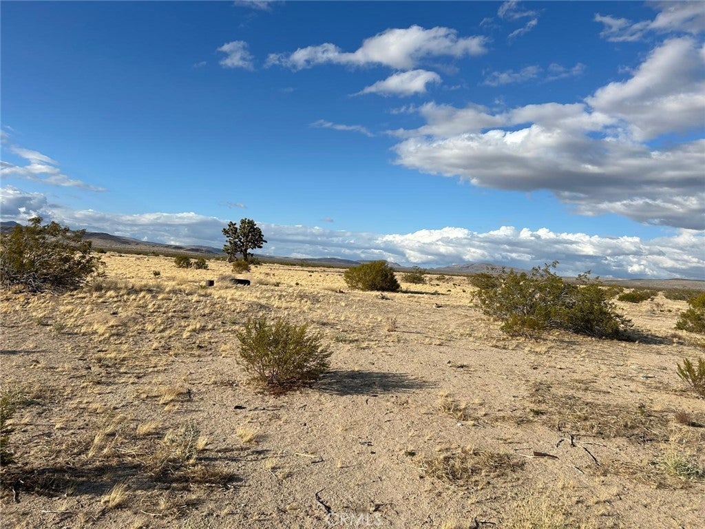 Photo of Listing #HD25093740