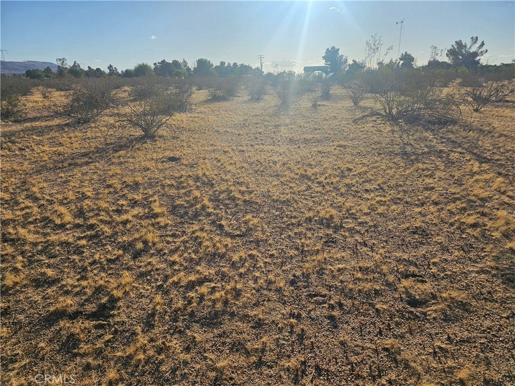 Photo of Listing #HD25094548