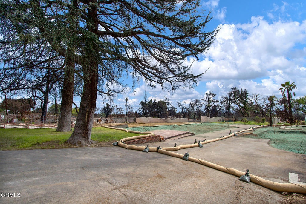 Photo of Listing #P1-21982