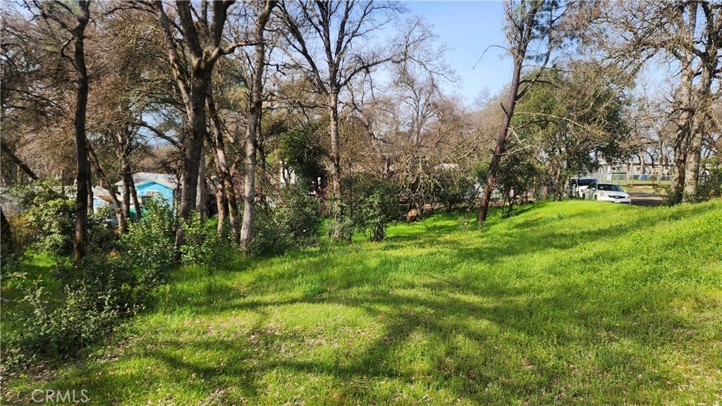 Photo of Listing #LC25060360