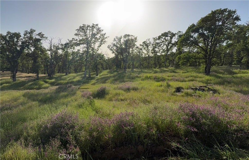 Photo of Listing #LC25095330