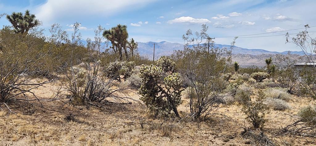 Photo of Listing #219129335DA